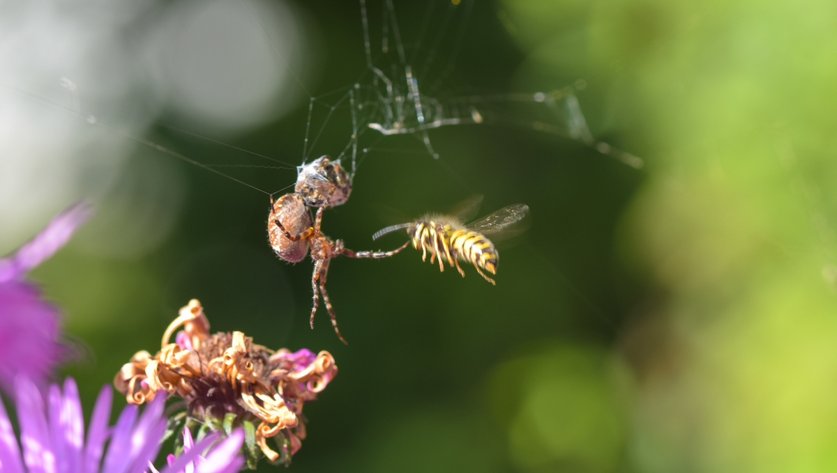 2014_09280007.jpg