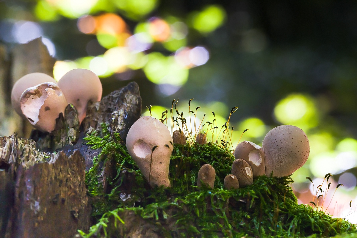 comp_ks04. Oktober 20141240-3.jpg