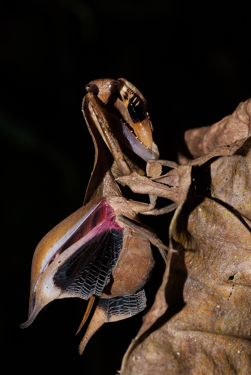 20130820-_DSC7012-3.jpg
