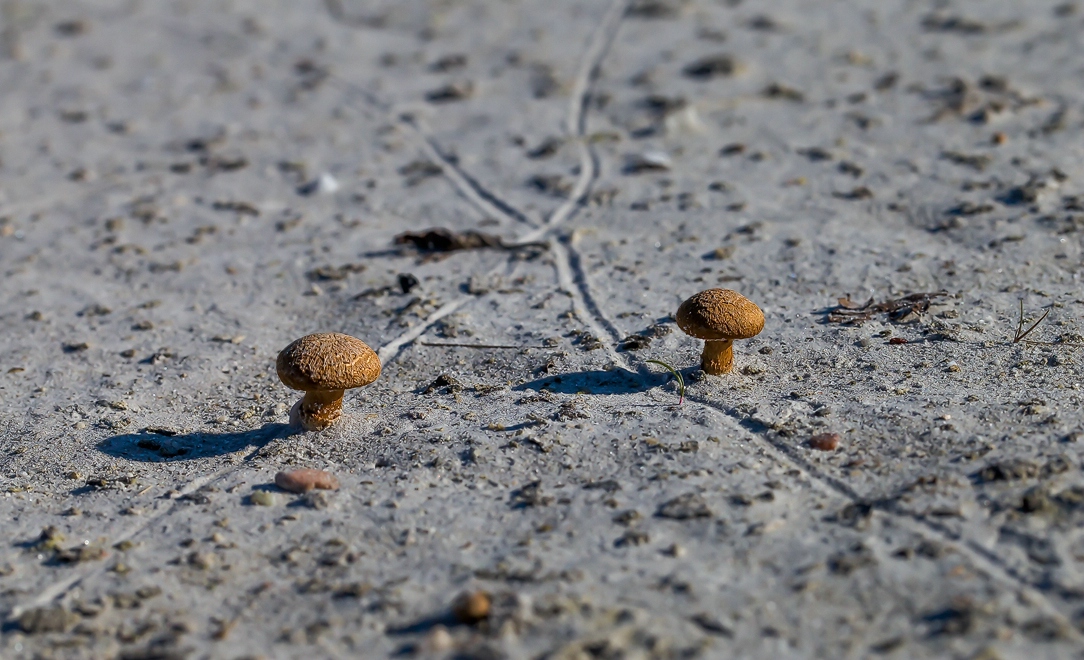 comp_ks15. Oktober 20141059-3.jpg