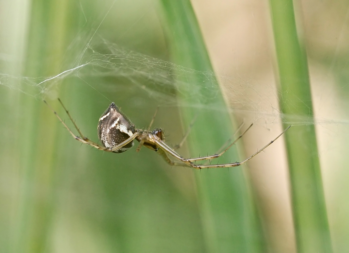comp_DSC08593_filtered3.jpg