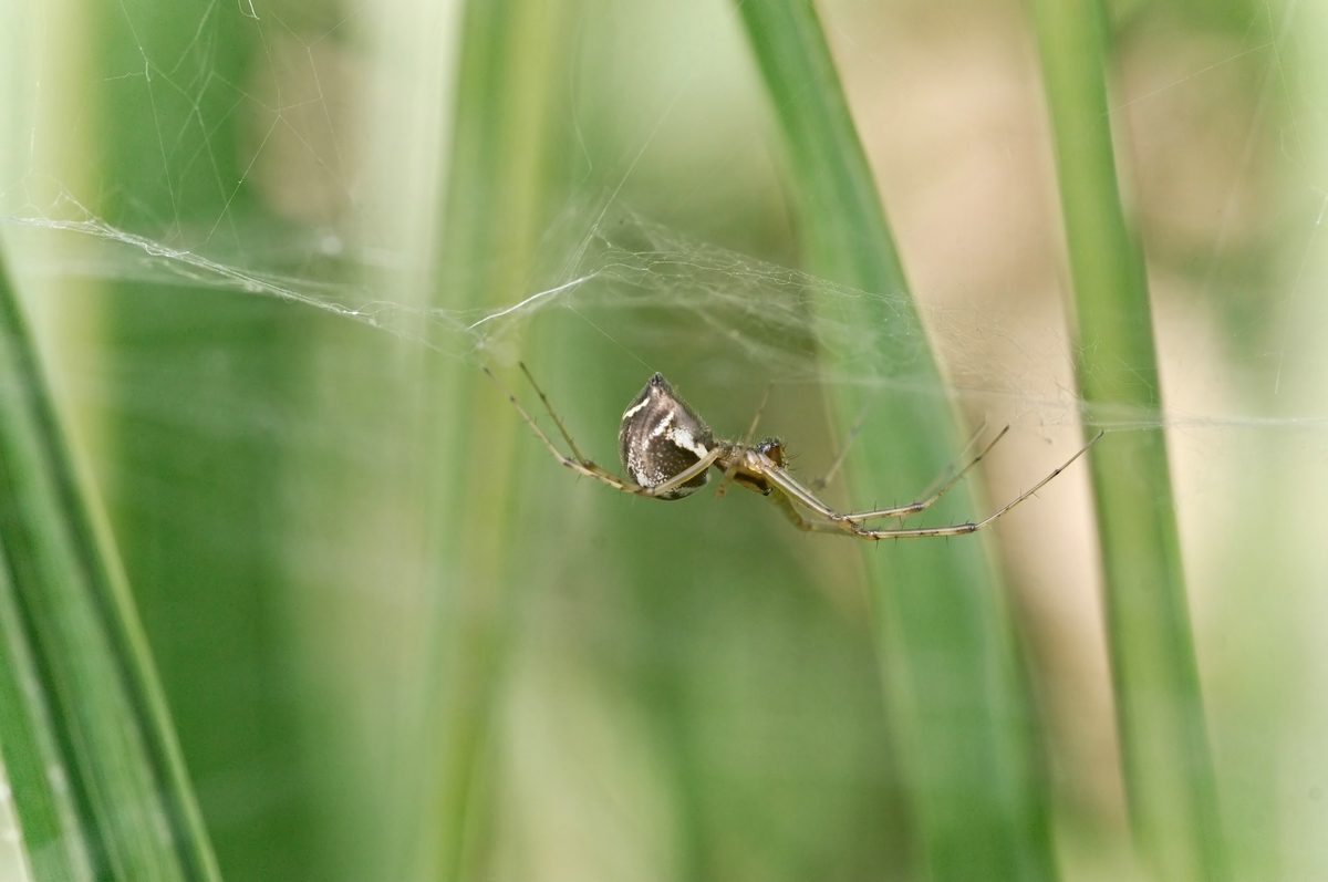 comp_DSC08593_1_filtered3.jpg