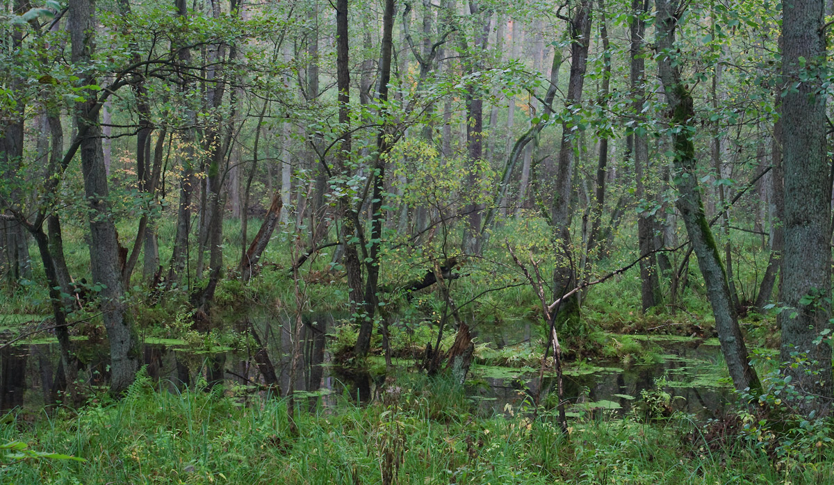 _MG_3894.jpg