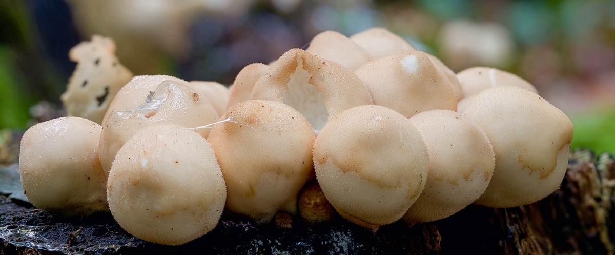 comp_ks06. Oktober 20141132-2.jpg
