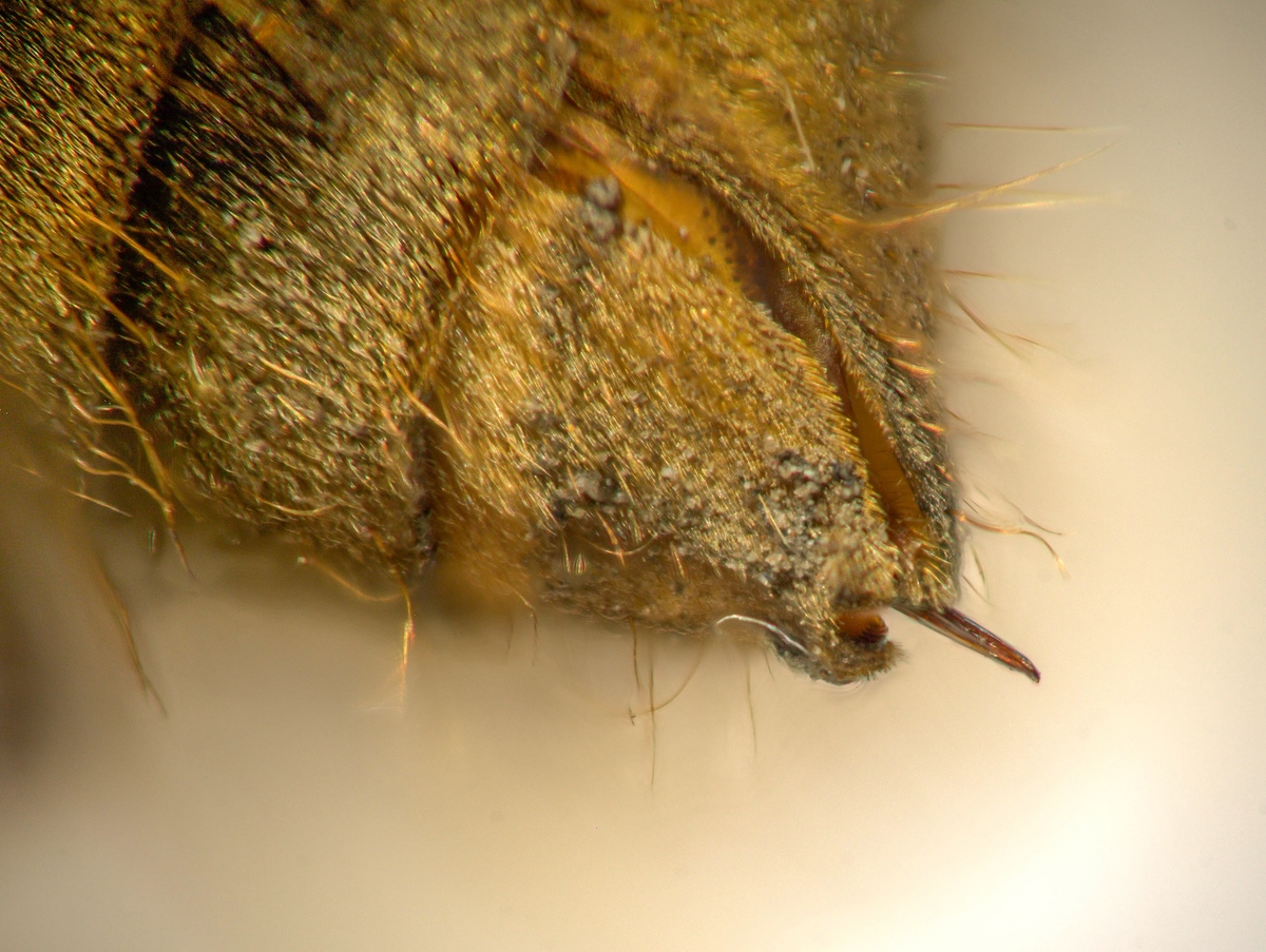 comp_2014-11-01_17-02-46 M=B R=8 S=4-1.jpg