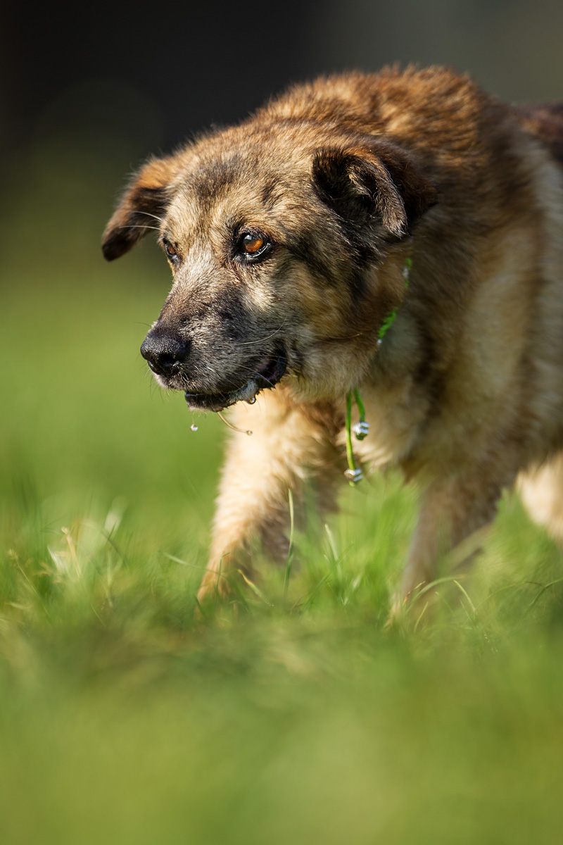 F25G8239-Bearbeitet.jpg