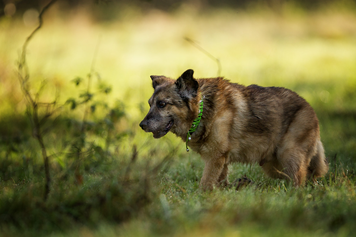 F25G8101-Bearbeitet.jpg