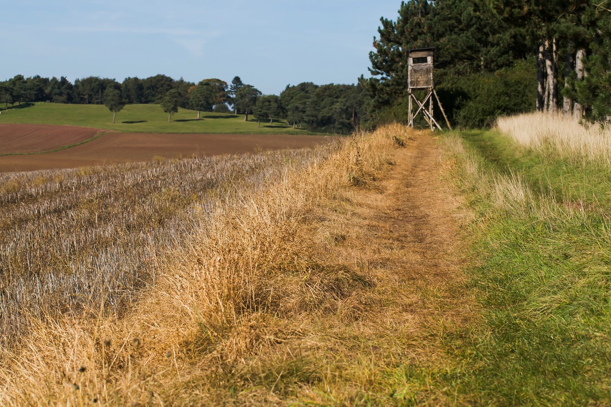 comp_ks04. Oktober 20141216.jpg