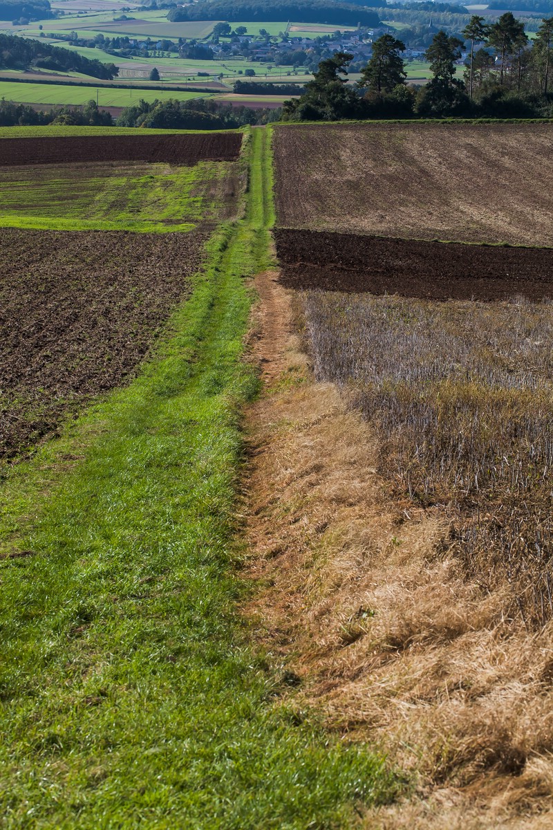 comp_ks04. Oktober 20141216-2.jpg