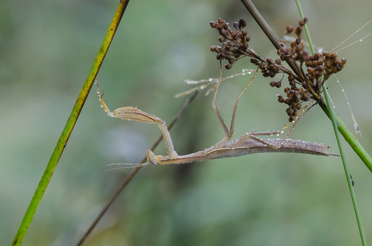 Tour_29082014-9.jpg