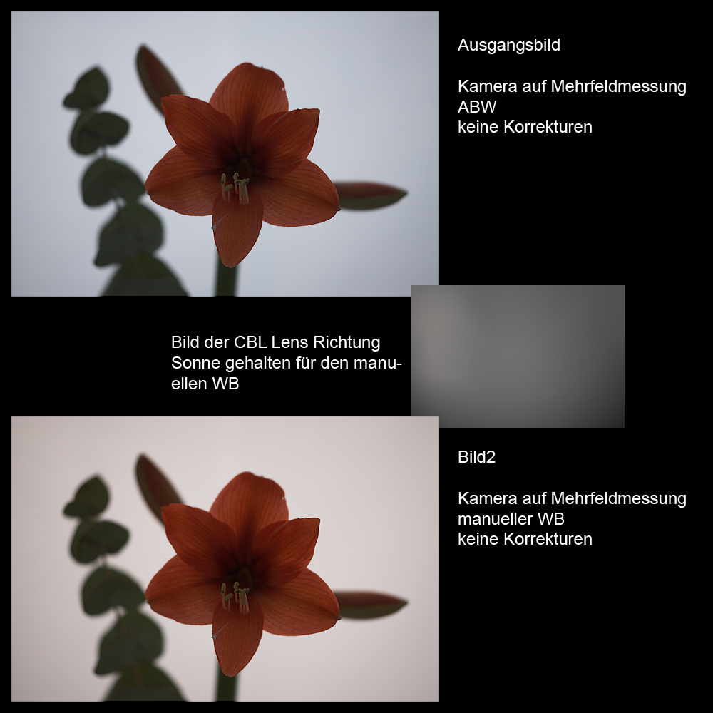 ManuellerWB.jpg