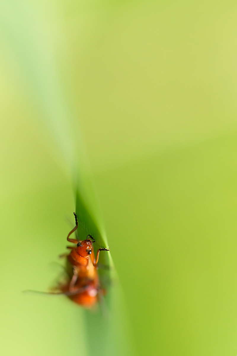 20140621_0039.jpg