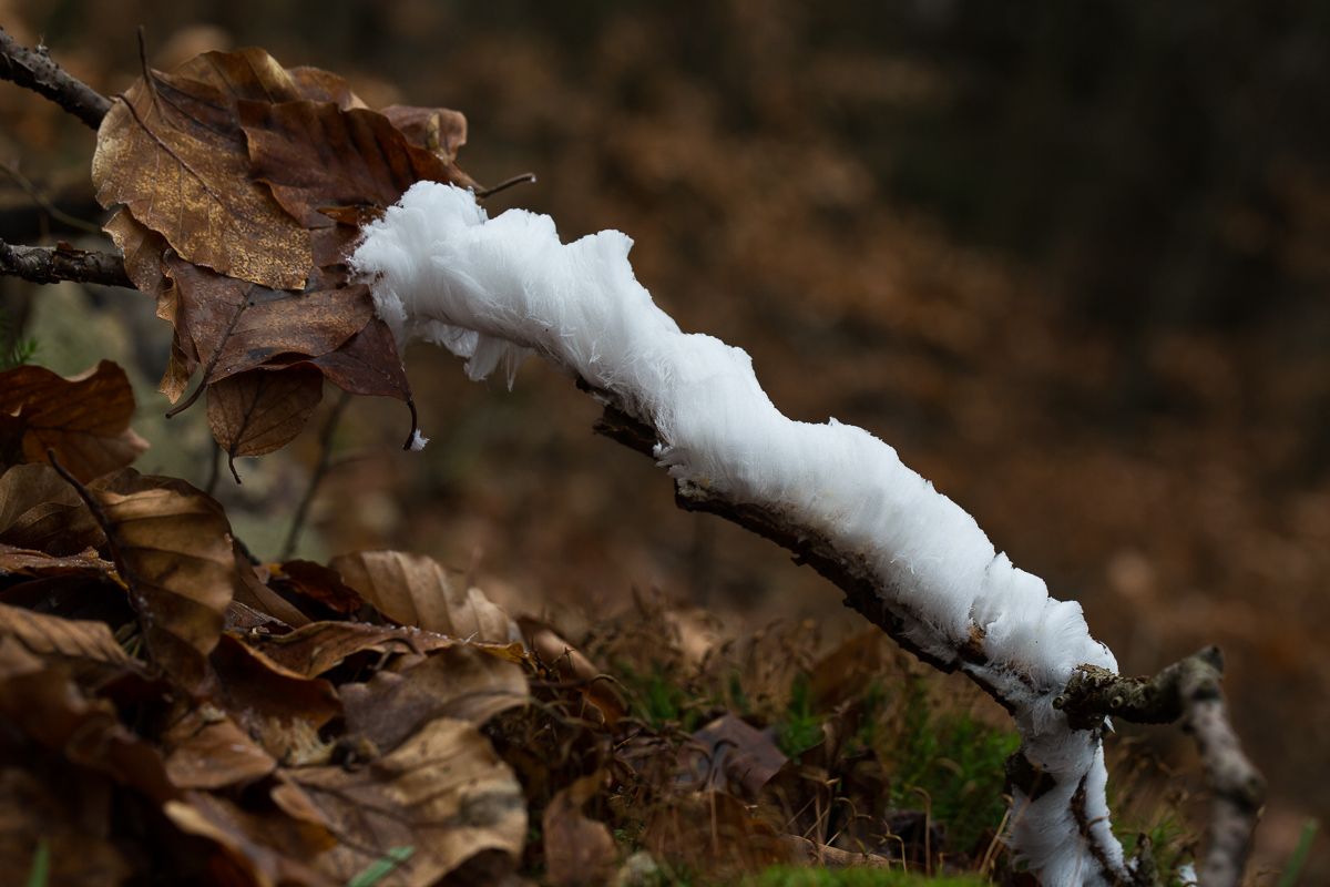 Winter 1 (1 von 1).jpg