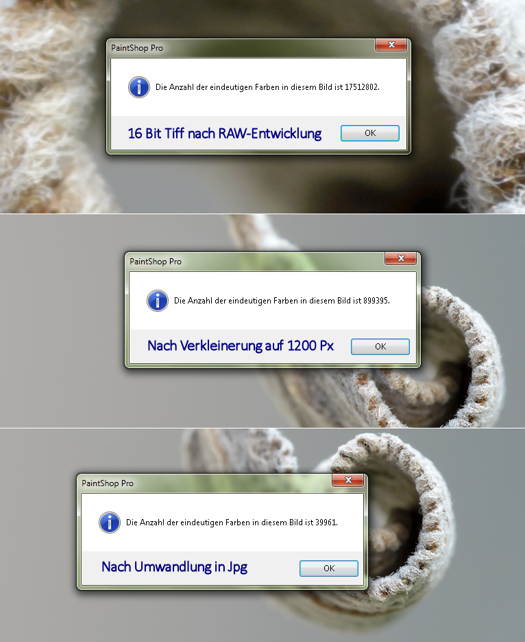 Farbverlust.jpg