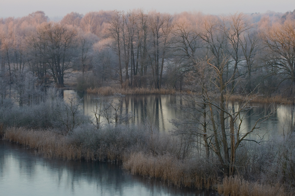 _MG_7388.jpg