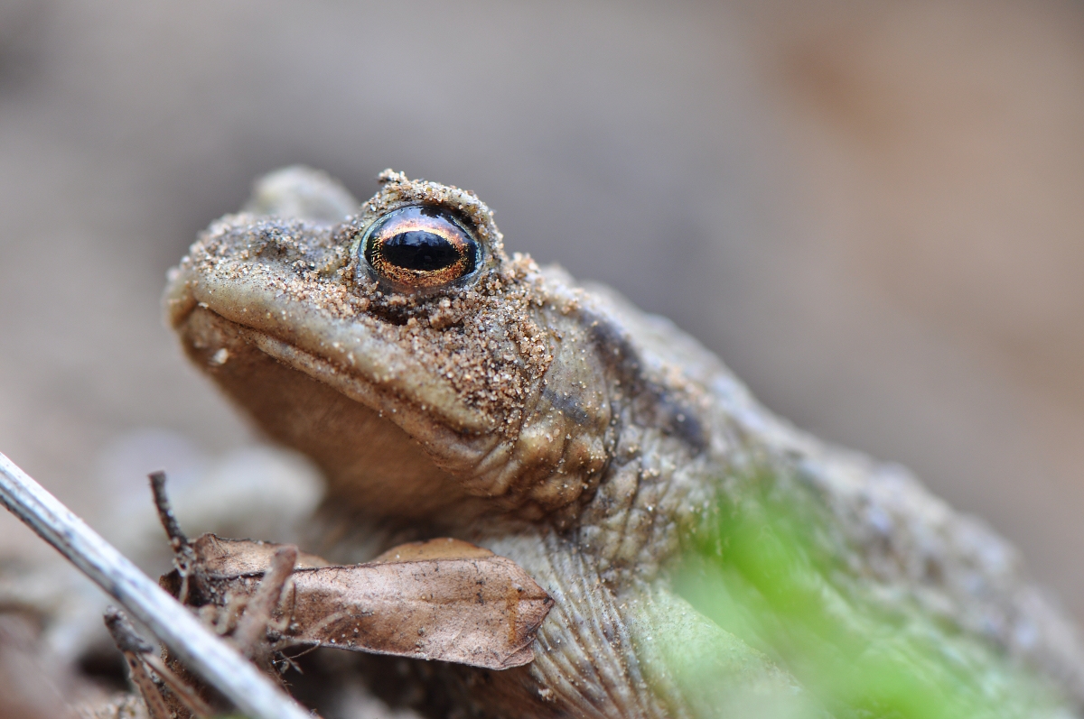 DSC_5634_2k2.jpg