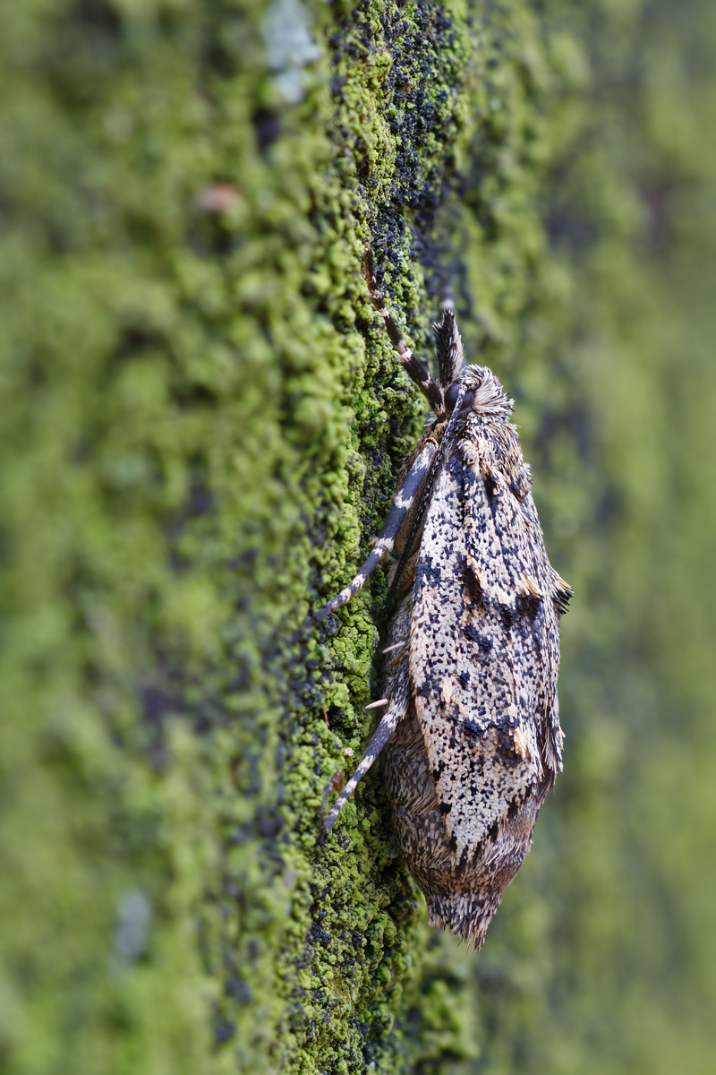 stack_4367_800_nr.jpg