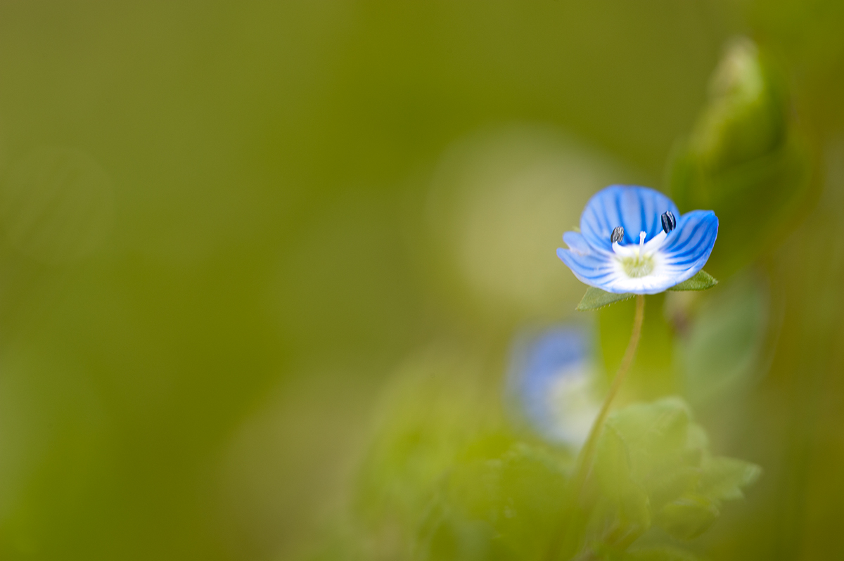 2015.04.25_DSC2464 Kopie.jpg