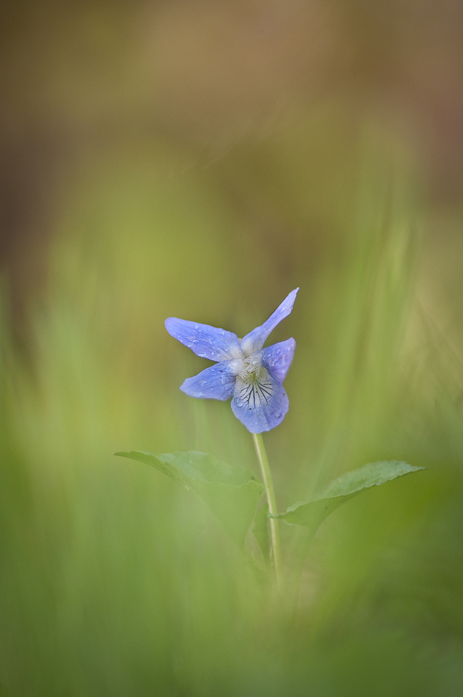 RD7_3862-2.jpg