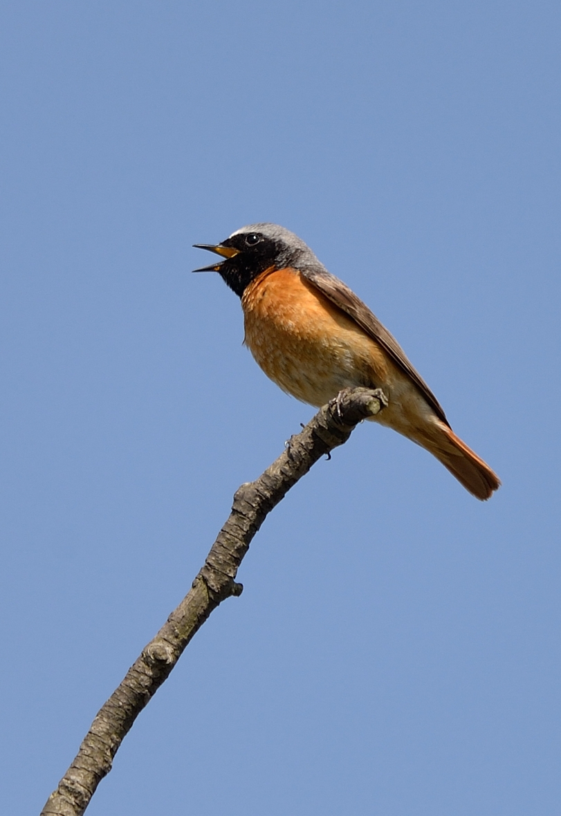DSC_3181.2.jpg
