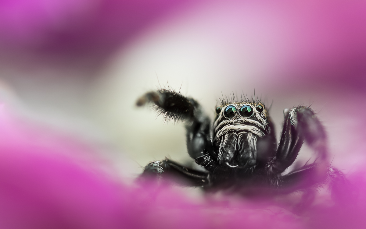 20150531-_DSC1471-klein2.jpg