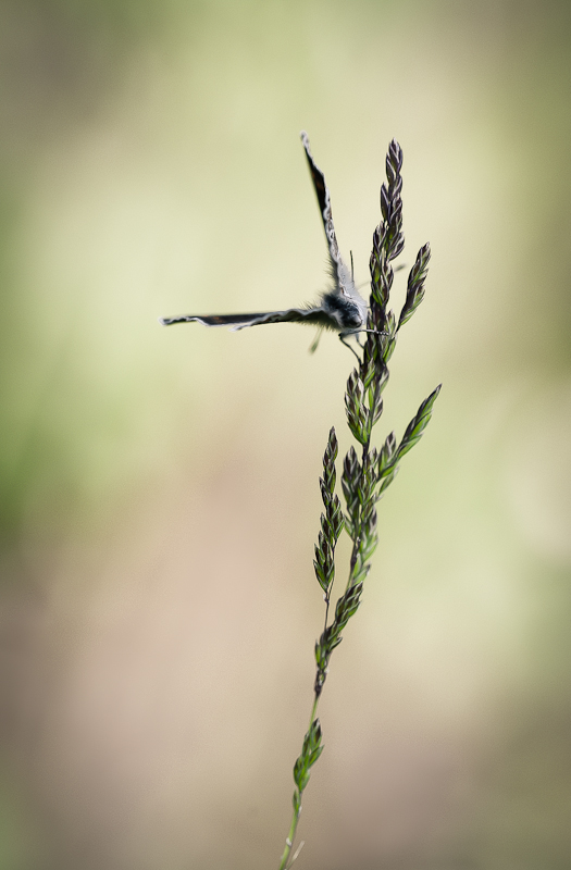 RD7_4146.jpg