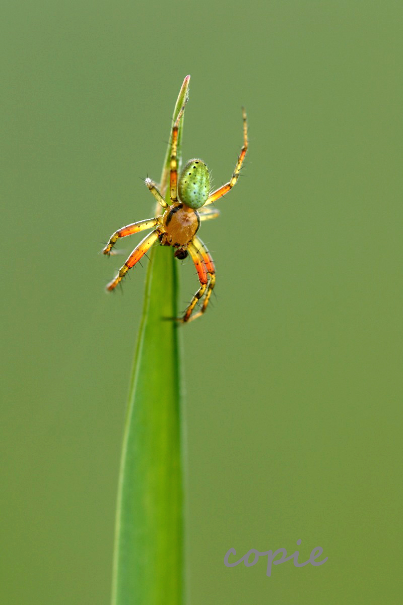 dsc_0232_152 Kopie.jpg