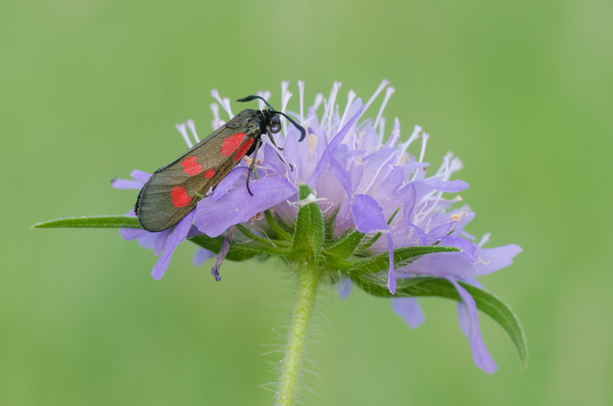 Tour_14062015-55.jpg