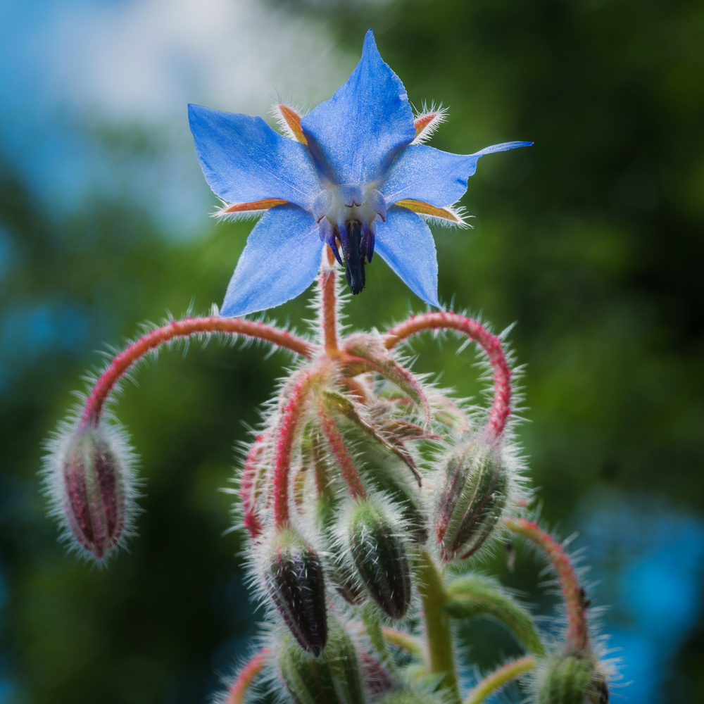 P1110421-1.jpg