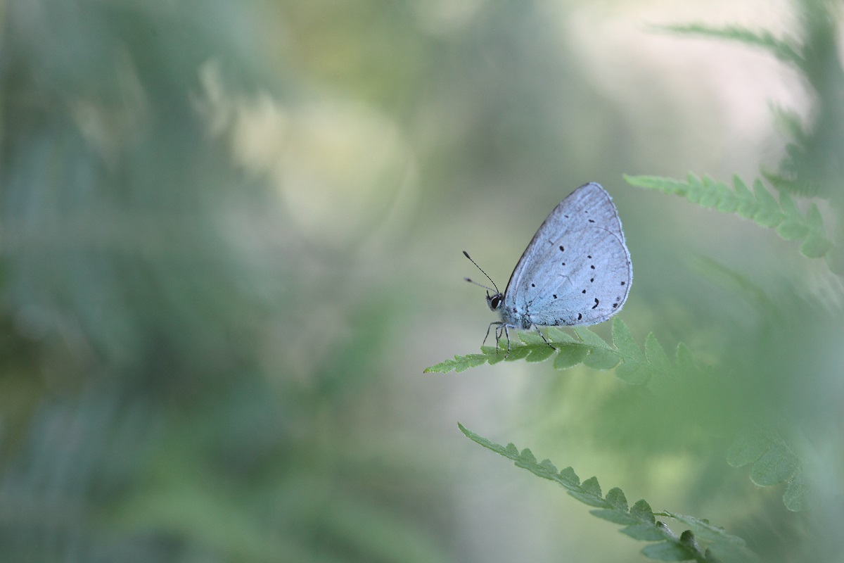 IMG_7463_small.jpg