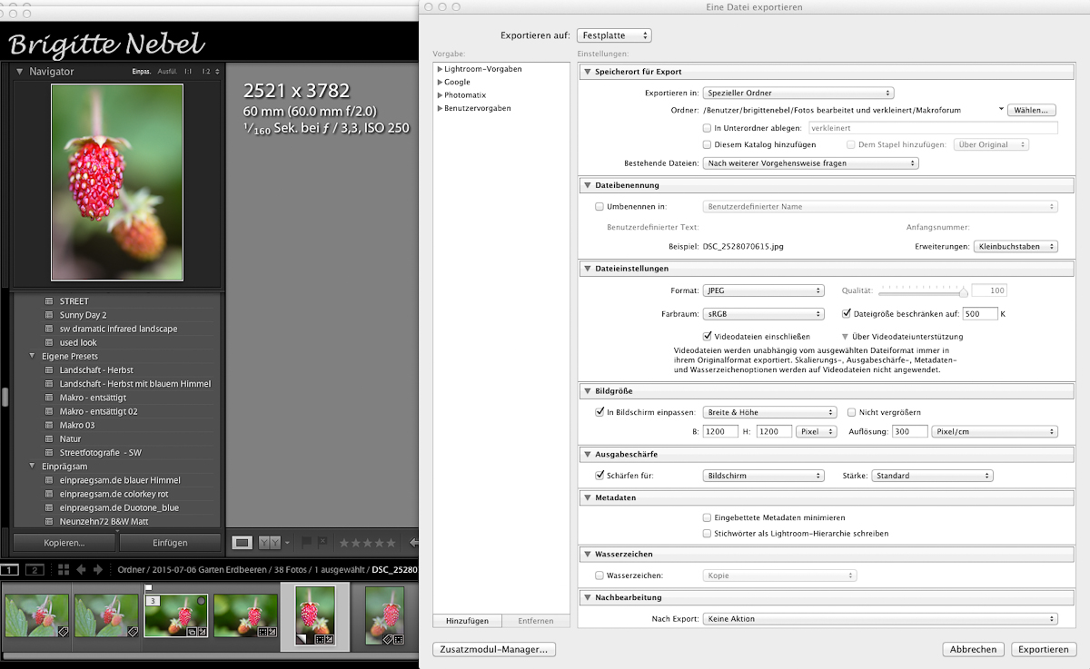 Bildschirmscreen_export.jpg