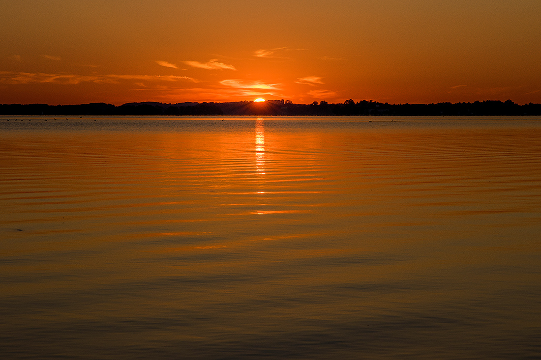 _37A5507.jpg