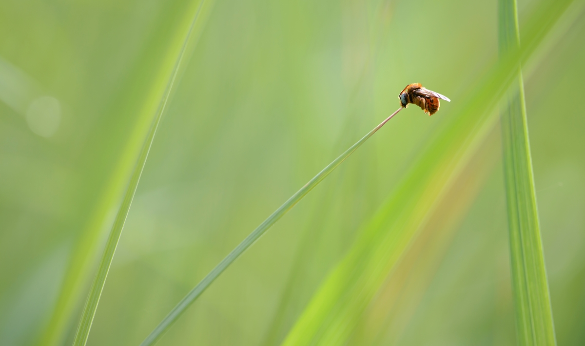 MB8_6937 Kopie a verkl..jpg