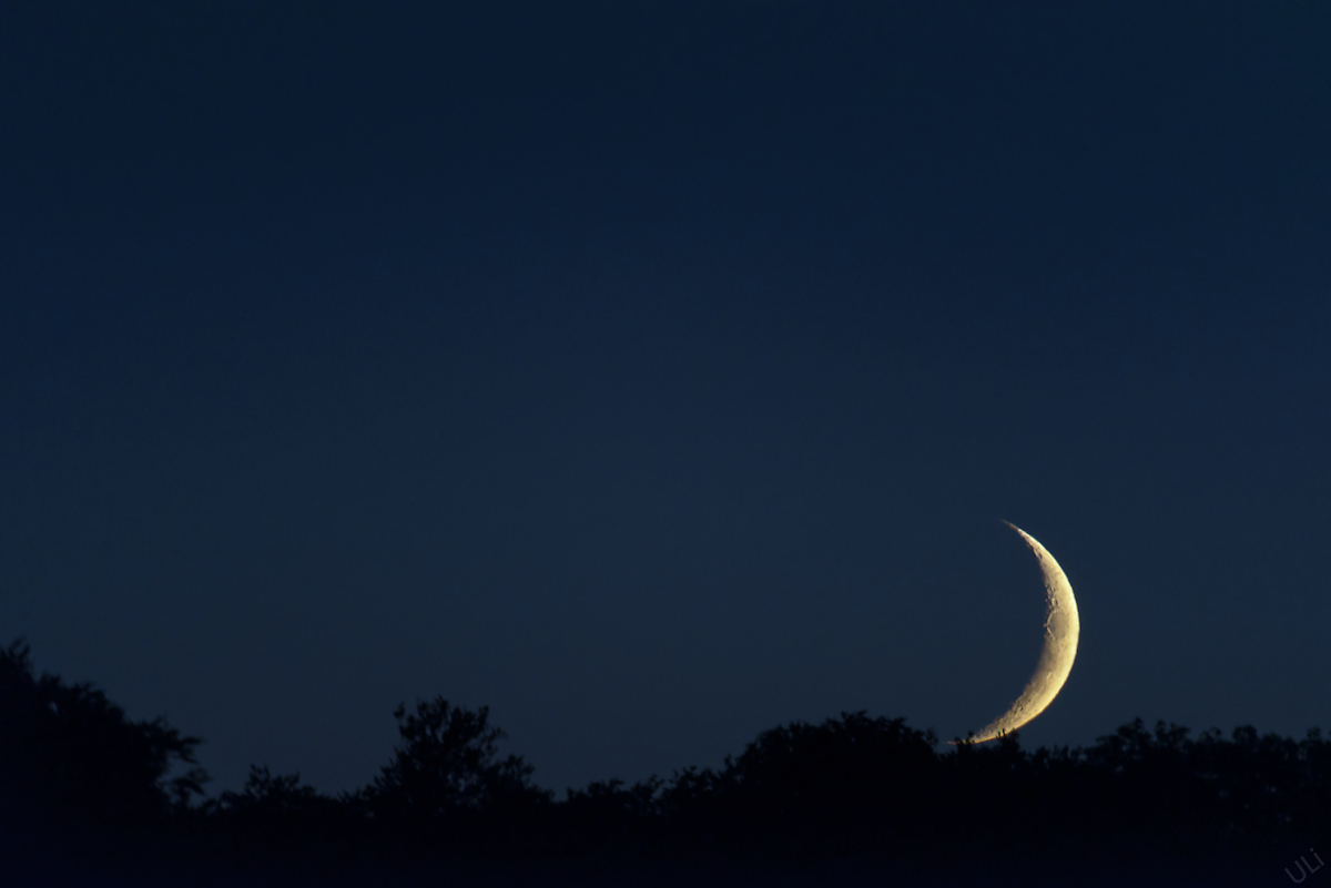D6C_2516-4_1200x801.jpg