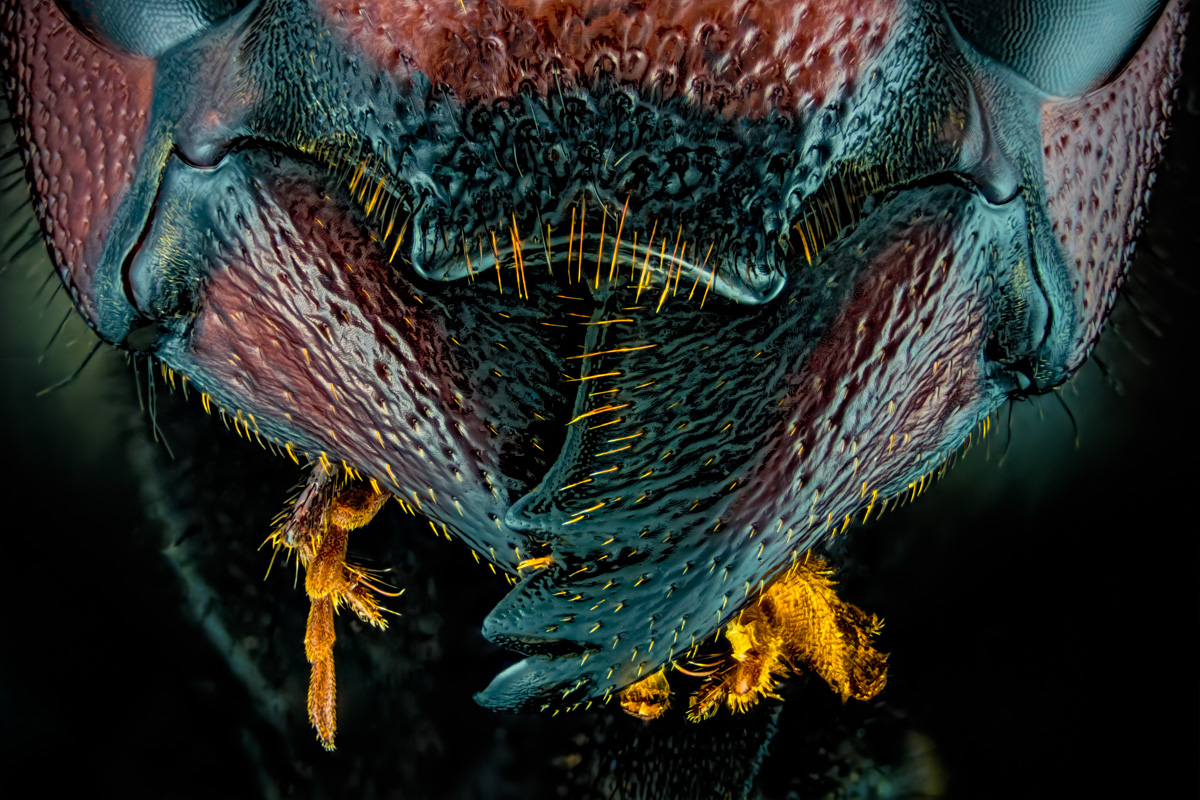 1.Zeiss 3,2, 202 B, 0,02 mm.jpg