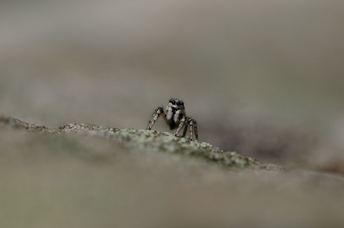 forum (1 von 1)-4.jpg