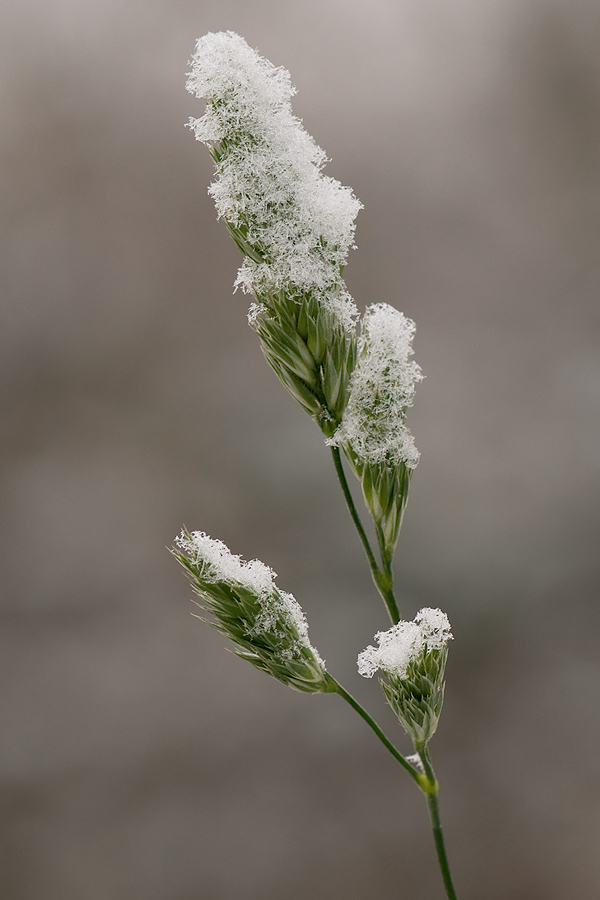 Leichter-Wintermantel.jpg