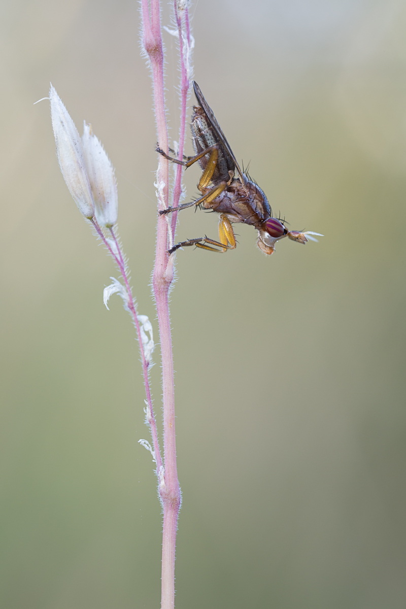 20150723-IMG_2491-b.jpg