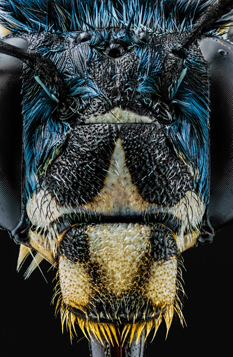 2.Schneider 50, 301 B, 0,015 mm.jpg