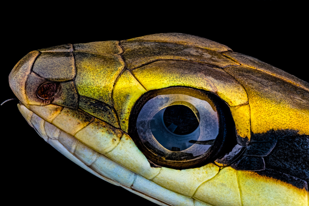 2.Schneider 50, 320 B, 0,015 mm.jpg