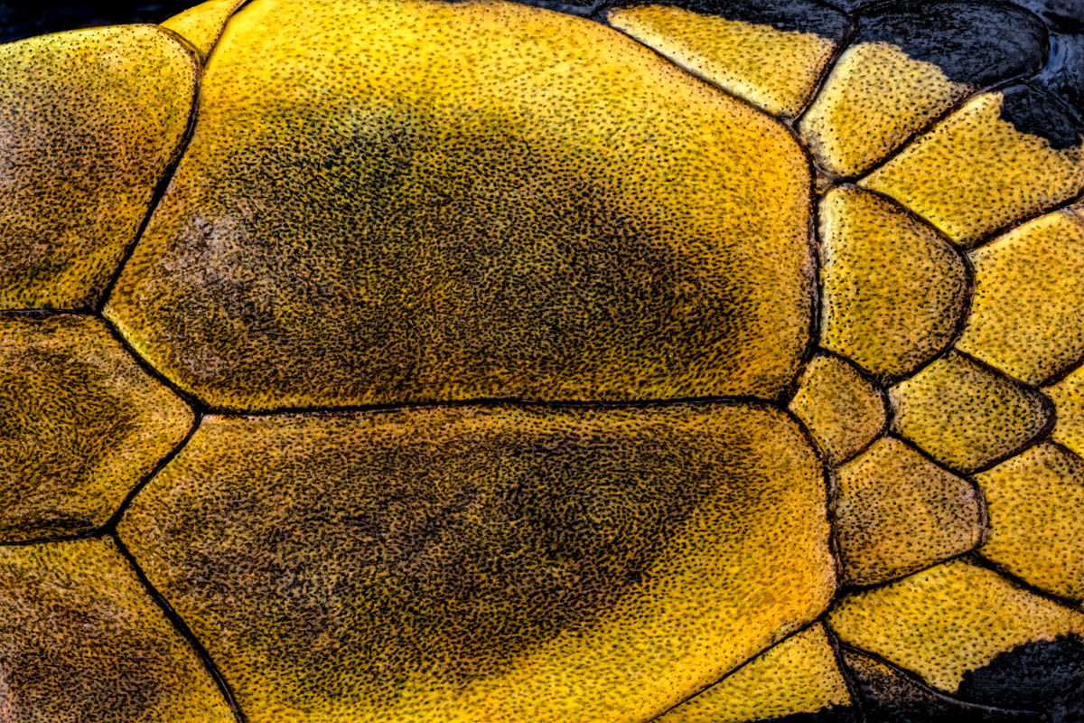 3.Schneider 50, 78 B, 0,015 mm.jpg