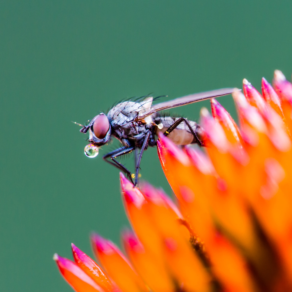 D7_15855-4.jpg