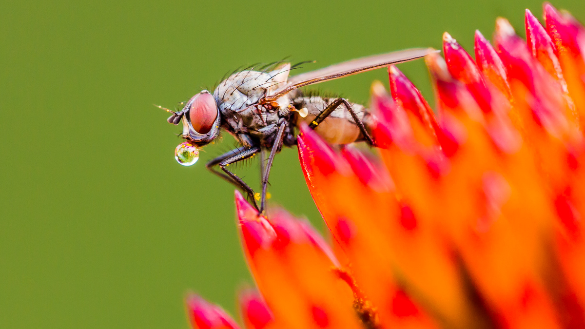 D7_15855-7.jpg