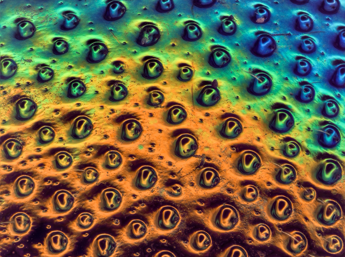 2015-08-21-19.20.56 ZS retouched.jpg