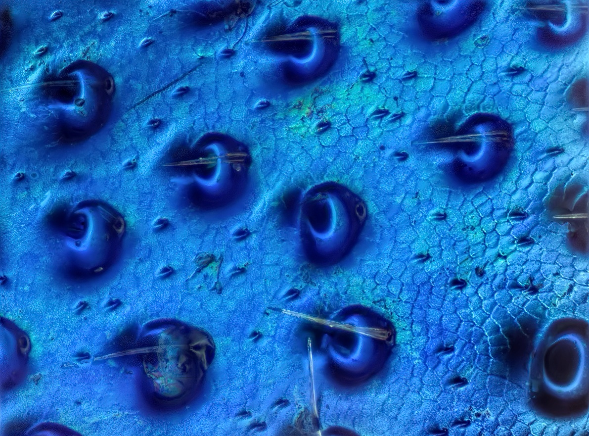 2015-08-22-01.16.53 ZS retouched.jpg