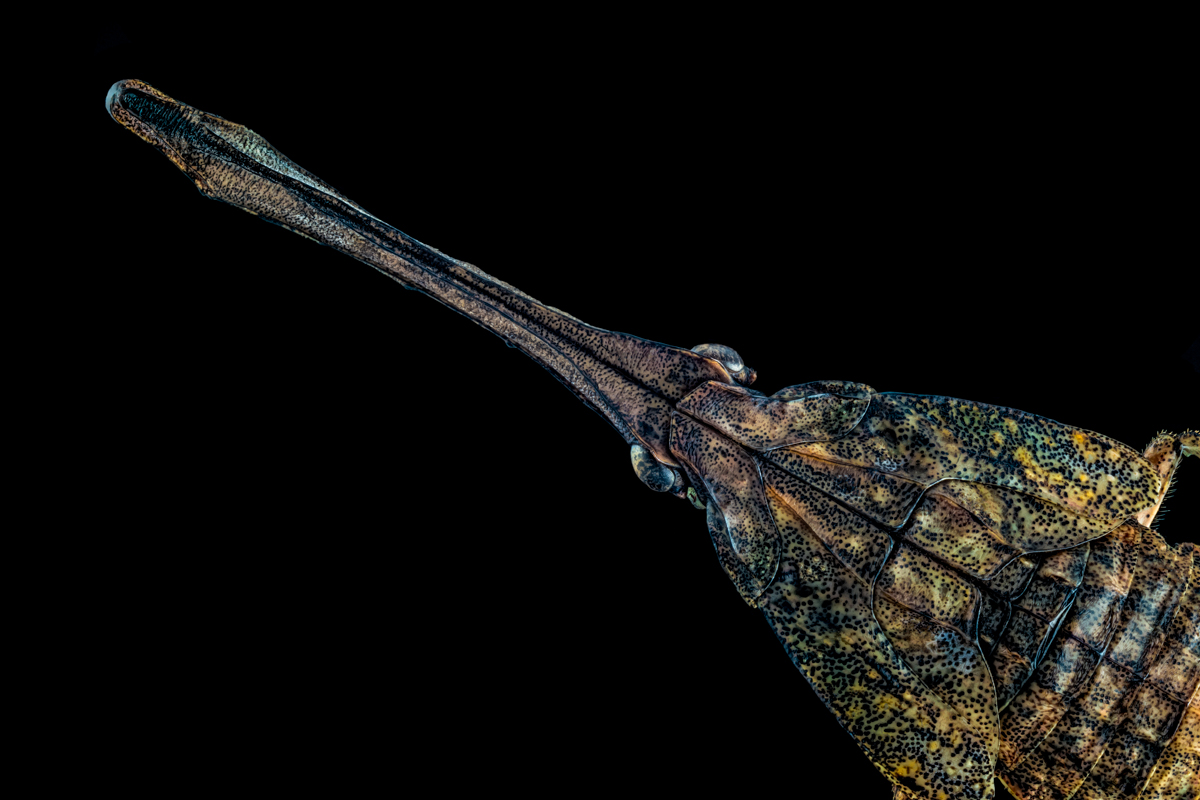 5.Durst 80, 149 B, 0,05 mm.jpg