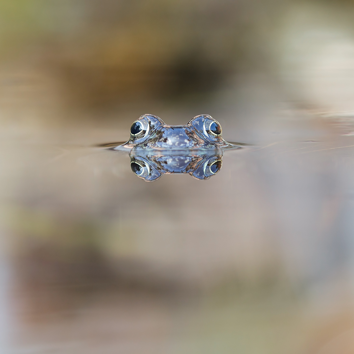 20150310_0094-2.jpg