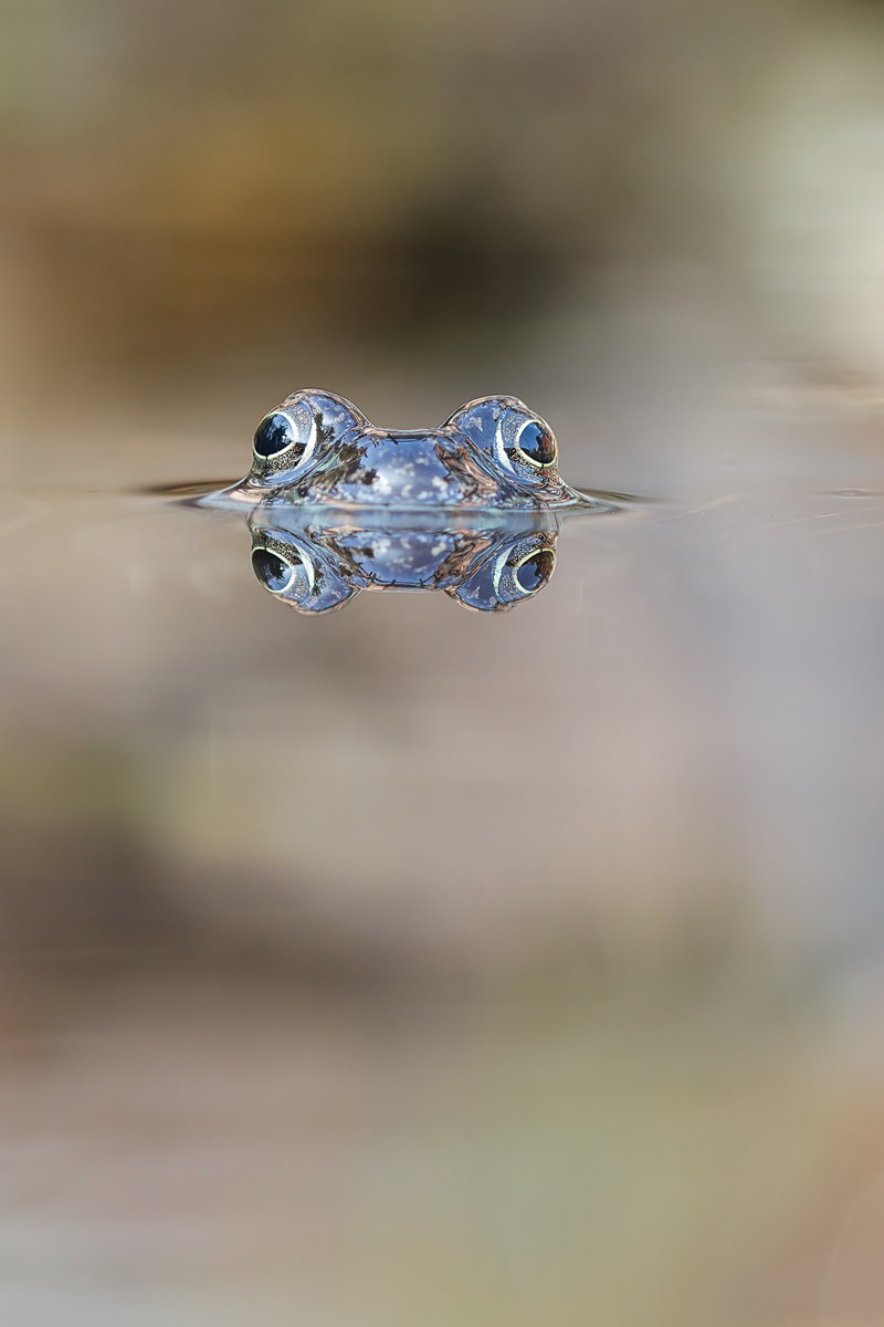 20150310_0094-4.jpg