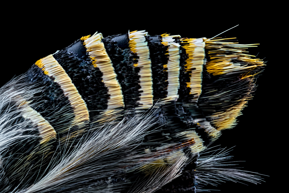 4.Schneider 50, 306 B, 0,015 mm.jpg