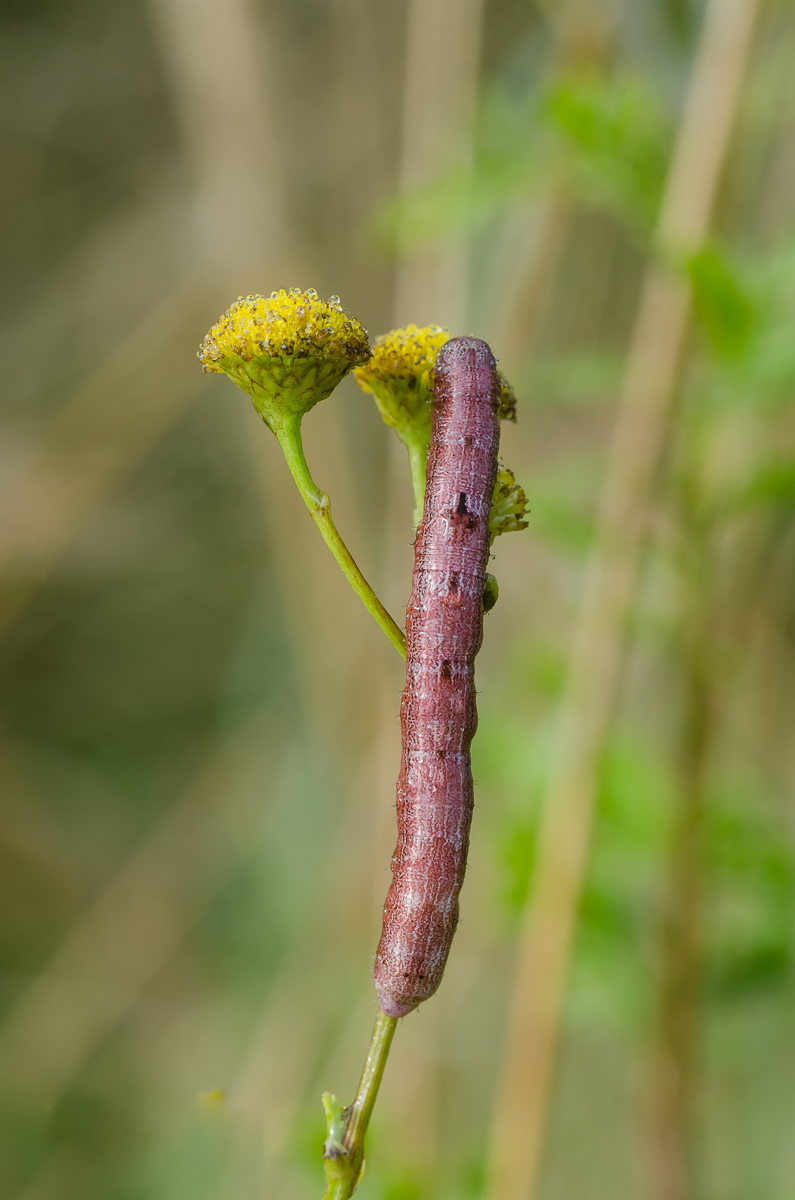 Tour_12092015-75.jpg